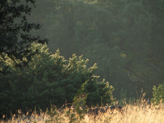 2009/10(October)/Misc/640x480_20100206 537.JPG